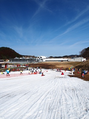 P2030610 P2030610