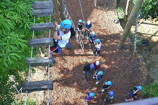 216607812_4498128340232150_5345953748344889437_n.jpg 216607812_4498128340232150_5345953748344889437_n.jpg