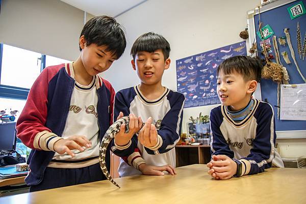 IMG_0911.jpg IMG_0911.jpg