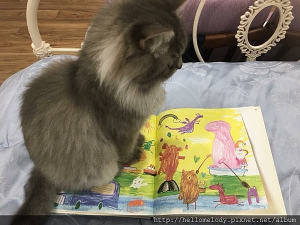 IMG_4205.JPG IMG_4205.JPG