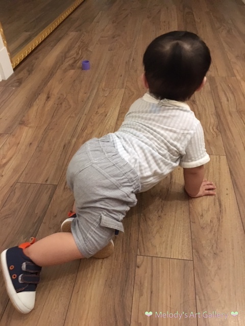 試用