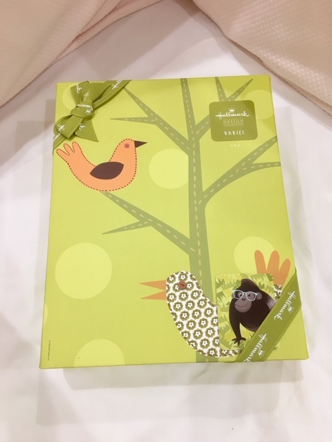 IMG_2243.jpg IMG_2243.jpg