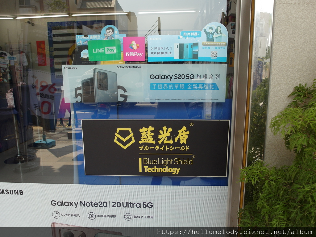 SAM_7529.JPG SAM_7529.JPG