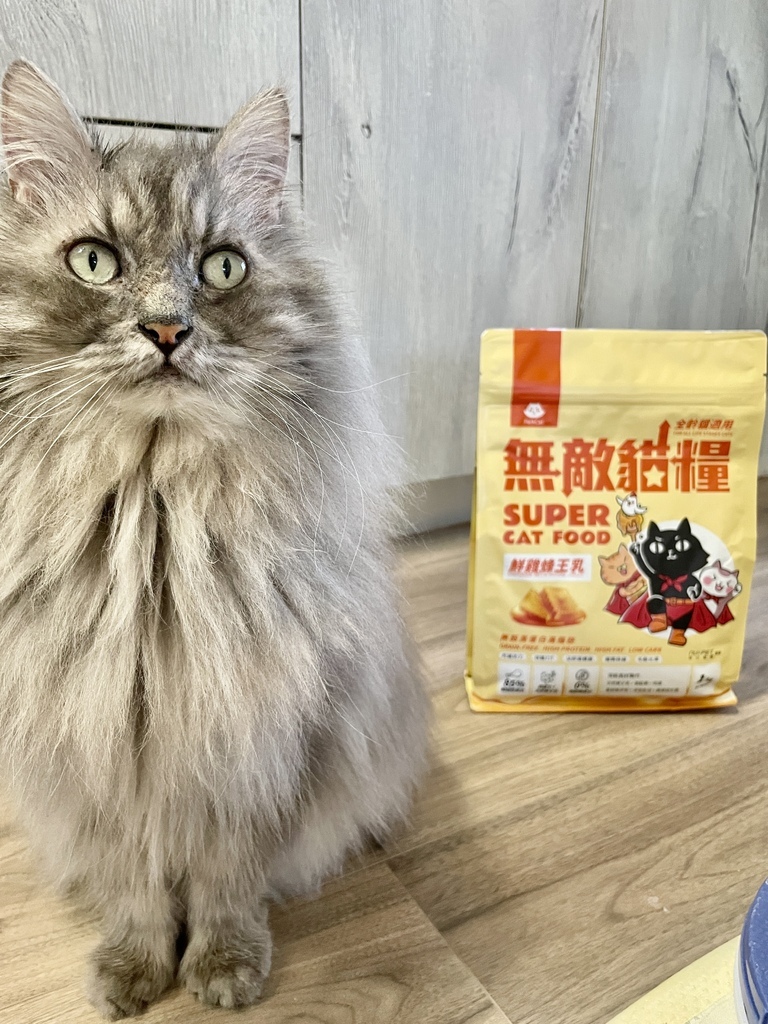 IMG_6878.jpg IMG_6878.jpg