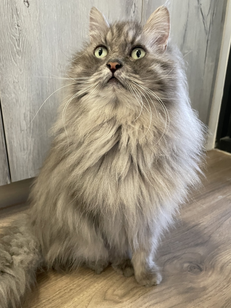 IMG_6857.JPG IMG_6857.JPG