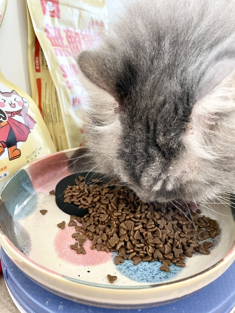 IMG_6746.jpg IMG_6746.jpg