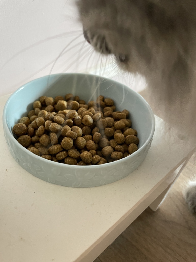 *寵物食品* NH+擁恆低敏天然糧 熟齡貓 分齡貓糧推薦 低