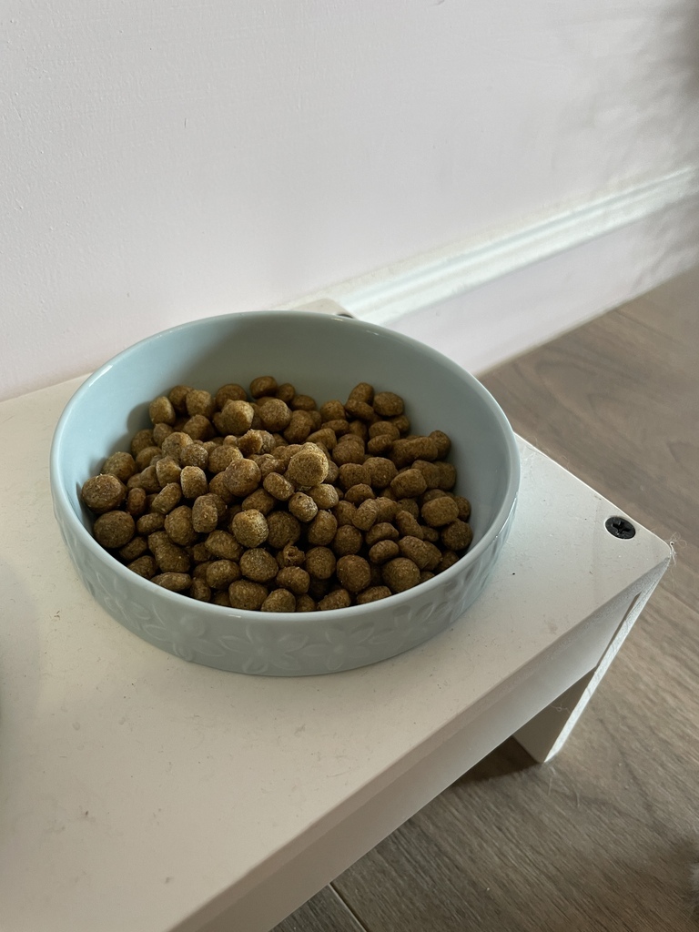 *寵物食品* NH+擁恆低敏天然糧 熟齡貓 分齡貓糧推薦 低