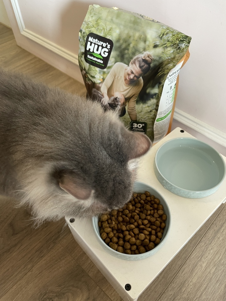 *寵物食品* NH+擁恆低敏天然糧 熟齡貓 分齡貓糧推薦 低