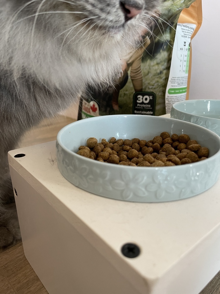 *寵物食品* NH+擁恆低敏天然糧 熟齡貓 分齡貓糧推薦 低