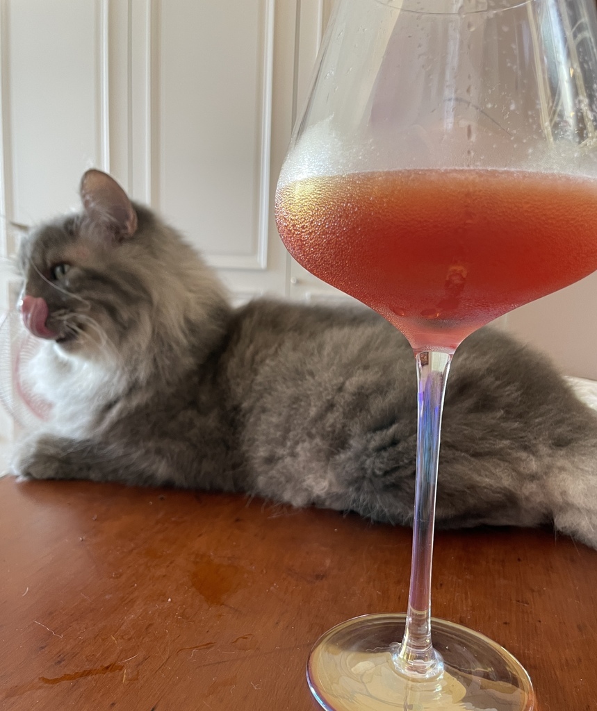 *寵物食品* NH+擁恆低敏天然糧 熟齡貓 分齡貓糧推薦 低