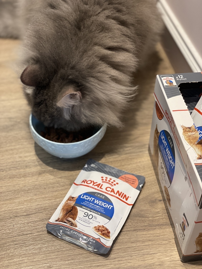 *開箱* 法國皇家ROYAL CANIN 貓飼料保健家 體重 *開箱* 法國皇家ROYAL CANIN 貓飼料保健家 體重