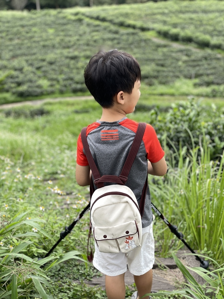 *運動用品* 開箱ProPACER登山杖彎把登山杖 輕盈設 *運動用品* 開箱ProPACER登山杖彎把登山杖 輕盈設