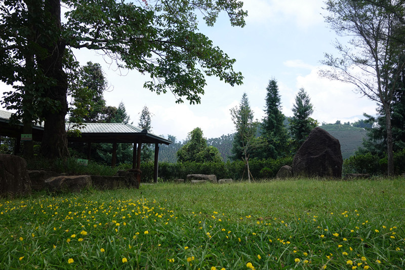 DSC00673_副本