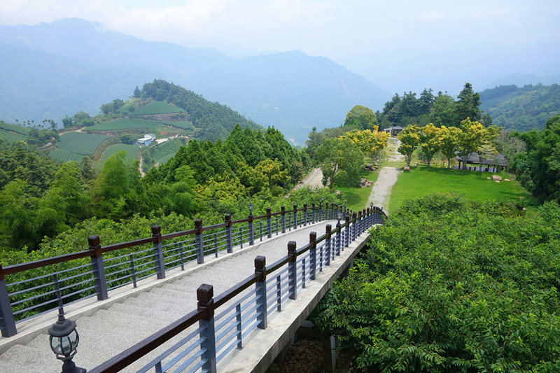 DSC00703_副本