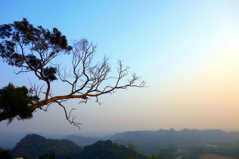 DSC01932_副本 DSC01932_副本