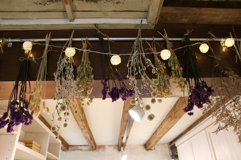 IMG_4099_副本 IMG_4099_副本