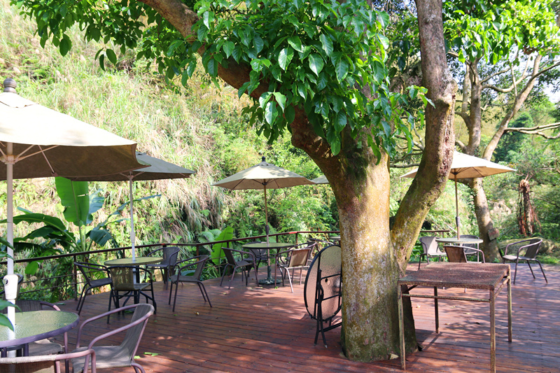 IMG_4981_副本 IMG_4981_副本