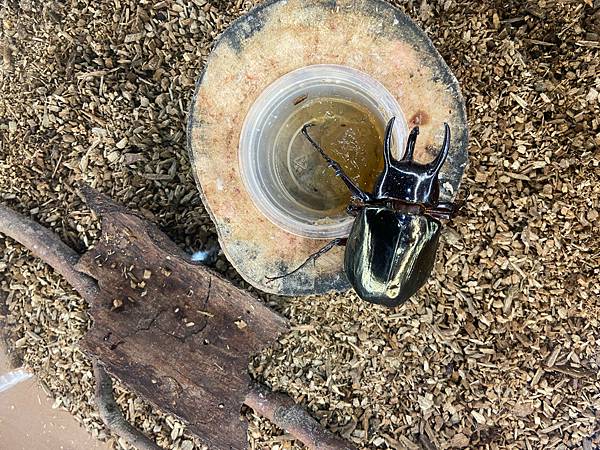 IMG_0602_S IMG_0602_S