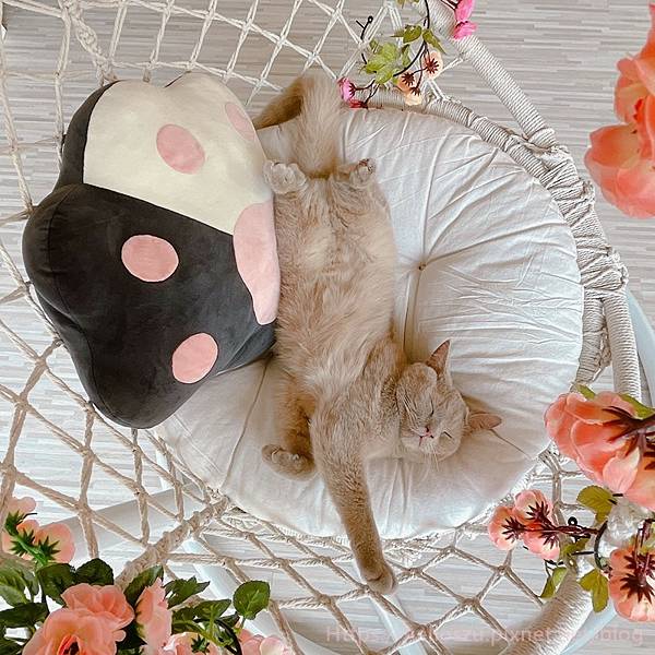 S__59351218.jpg S__59351218.jpg