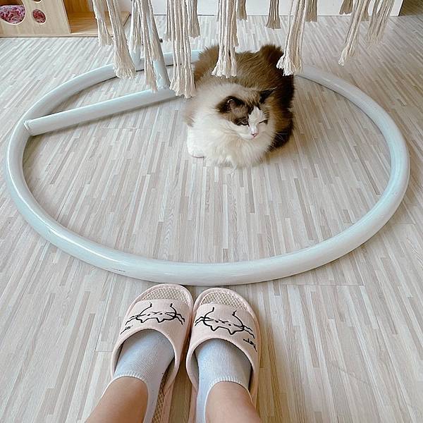 S__59351216.jpg S__59351216.jpg