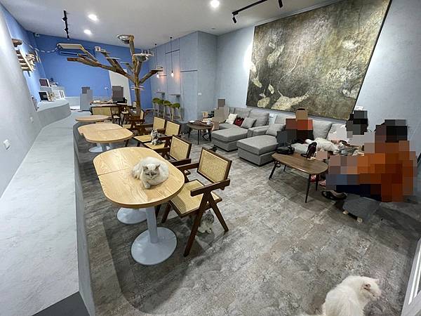 店內環境 店內環境