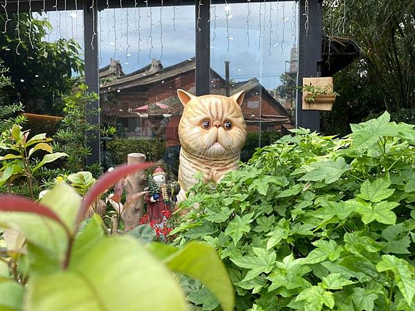 【桃園大溪】2022年造訪 隱密於三合院後方 巨大加菲貓公仔