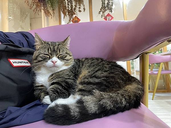 LINE_ALBUM_貳巷_221003_8.jpg LINE_ALBUM_貳巷_221003_8.jpg