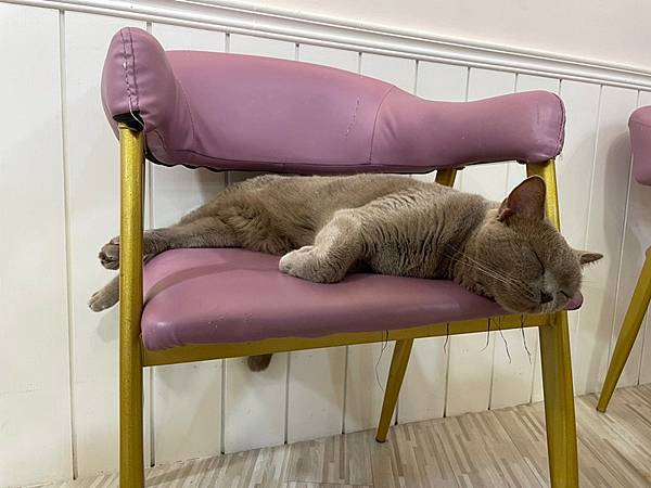 LINE_ALBUM_貳巷_221003_7.jpg LINE_ALBUM_貳巷_221003_7.jpg