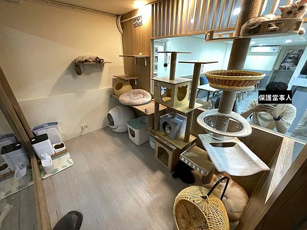 【桃園中壢】(停業)中原商圈貓咪餐廳 Dian Dian M