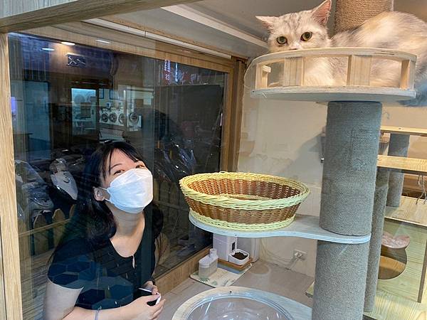 【桃園中壢】(停業)中原商圈貓咪餐廳 Dian Dian M