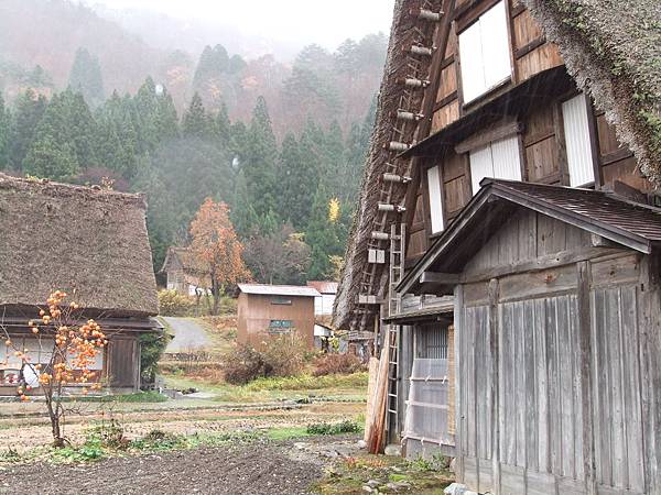 合掌村