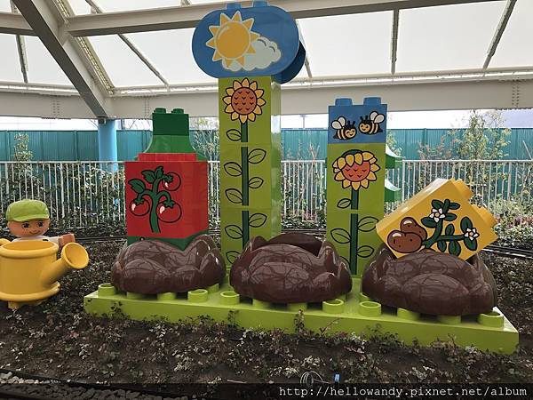 IMG_1155.JPG IMG_1155.JPG