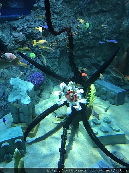 IMG_1197.JPG IMG_1197.JPG