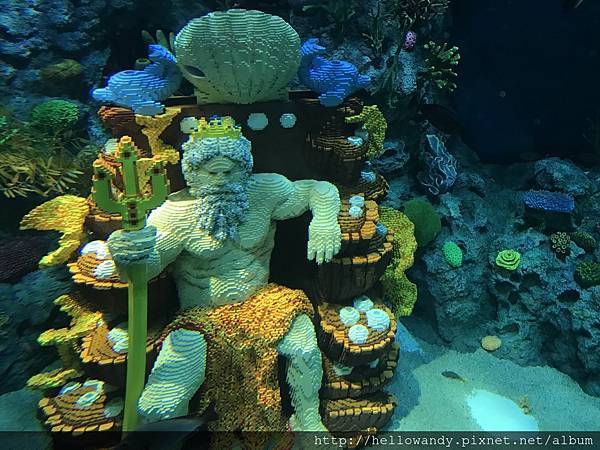 IMG_1480.JPG IMG_1480.JPG