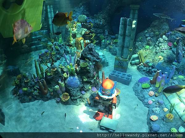 IMG_1478.JPG IMG_1478.JPG