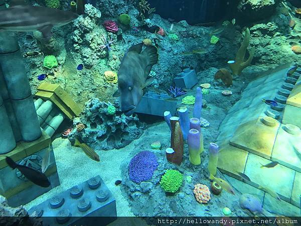 IMG_1479.JPG IMG_1479.JPG