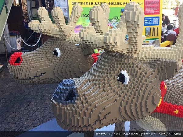 IMG_6198.JPG IMG_6198.JPG