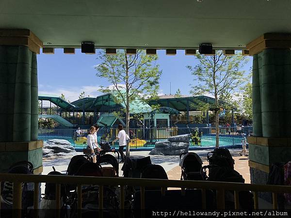 IMG_2813.JPG IMG_2813.JPG