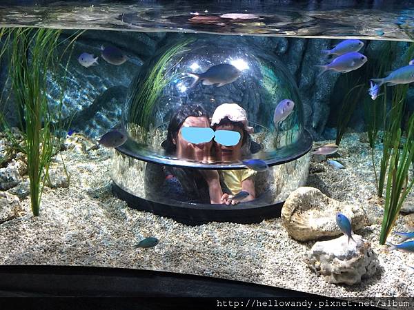 InkedIMG_2835_LI.jpg InkedIMG_2835_LI.jpg