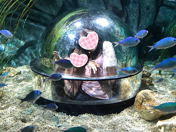 IMG_3154.JPG IMG_3154.JPG