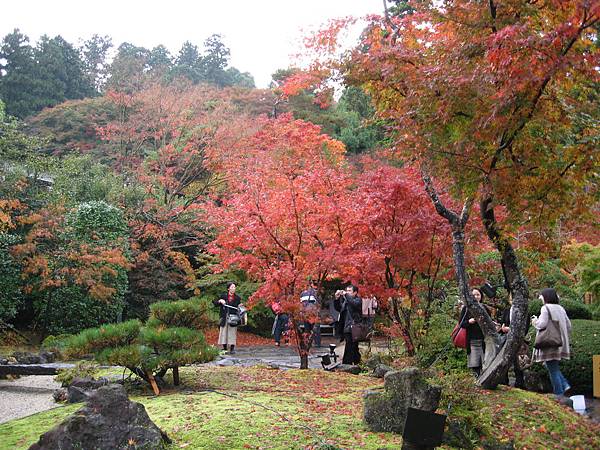 日本三景之一松島