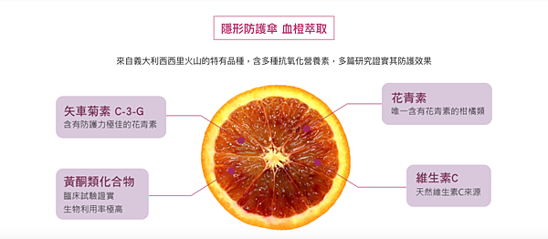 螢幕快照 2021-08-31 下午2.27.13 螢幕快照 2021-08-31 下午2.27.13
