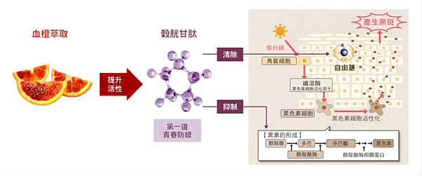 螢幕快照 2021-08-31 下午2.27.33 螢幕快照 2021-08-31 下午2.27.33
