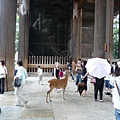 東大寺06.JPG