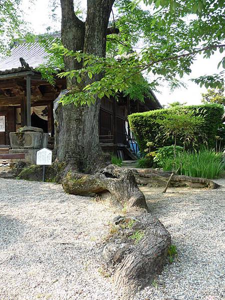 橘寺09.JPG