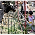 日月山景休閒農場20140716已修圖050.jpg