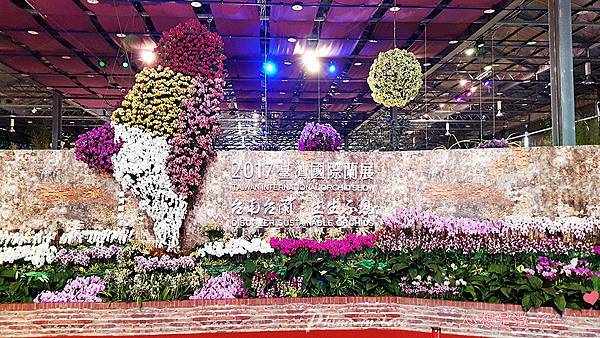 2017台灣國際蘭展爭奇館 (1).jpg 2017台灣國際蘭展爭奇館 (1).jpg