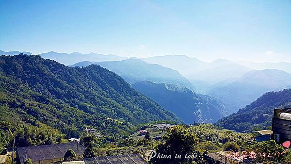 1阿里山公路台18線沿途風景002 拷貝.jpg