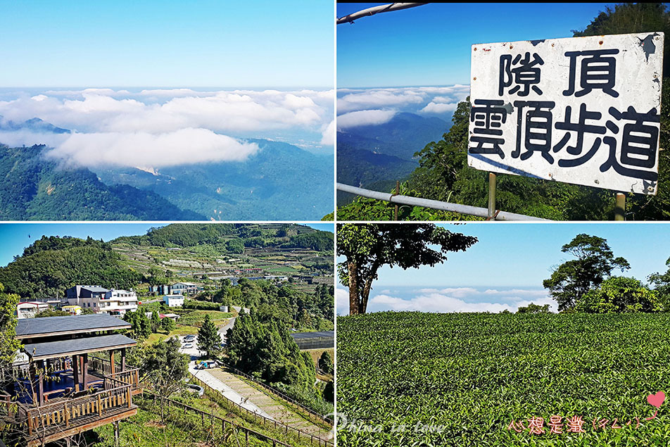 1阿里山公路台18線沿途風景011 拷貝.jpg